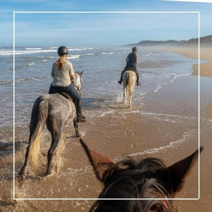 Agriturismo I Grappoli Alberese Εξωτερικό φωτογραφία