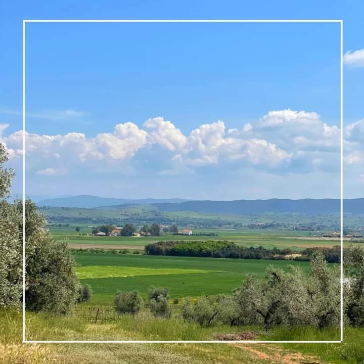 Agriturismo I Grappoli Alberese Εξωτερικό φωτογραφία